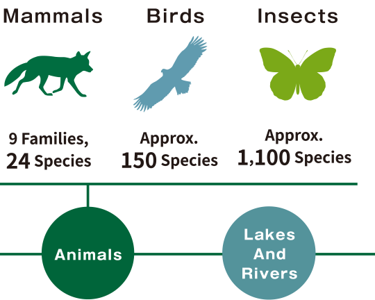 Akan Caldera Fauna