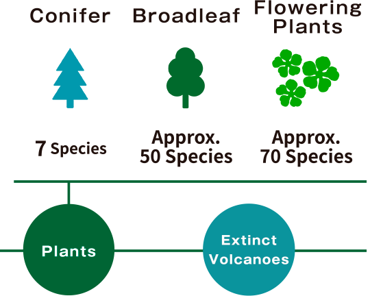 Akan Caldera Flora