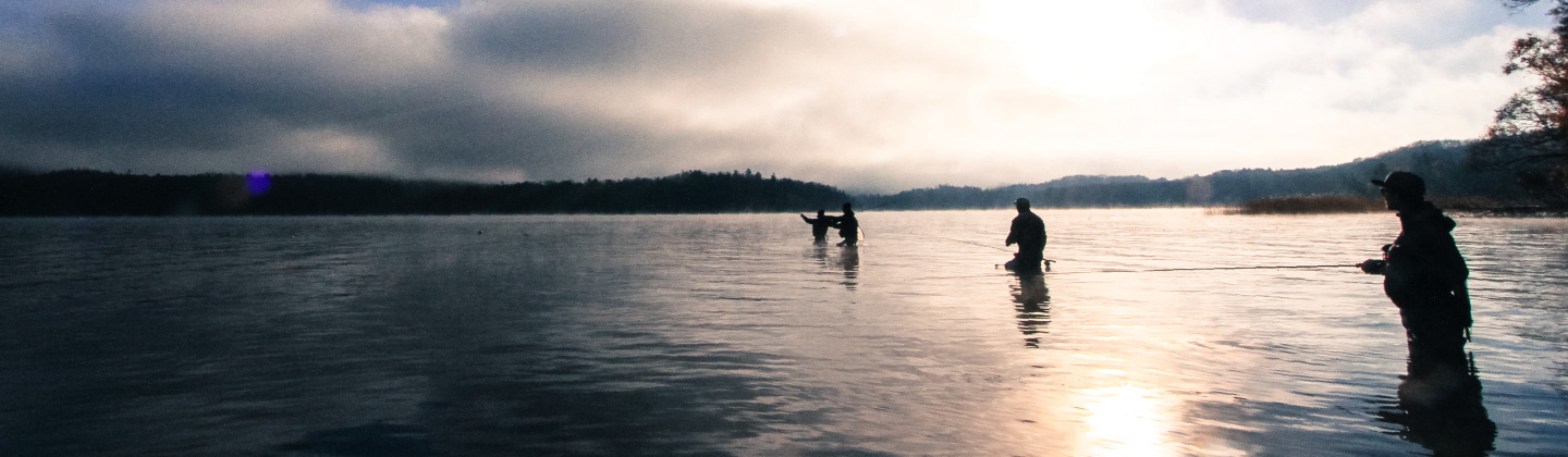 Fish and Water Life of Lake Akan