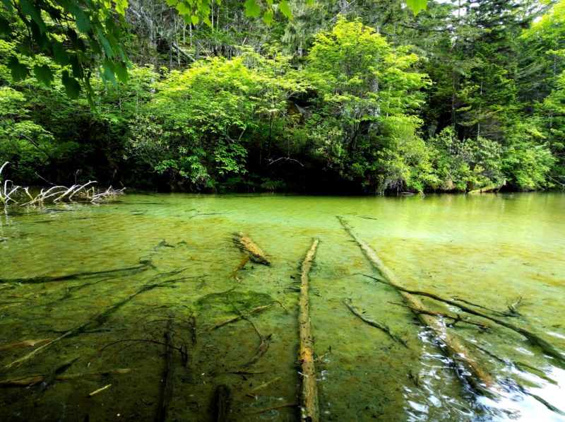 Trek to an enigmatic lake shrouded in mystery