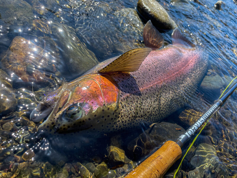 道東フィッシング (冬)