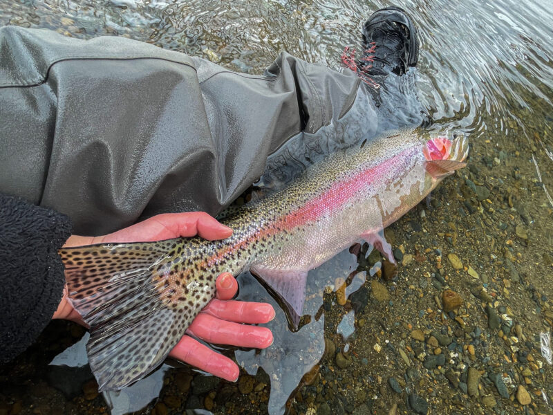 道東フィッシング (冬)